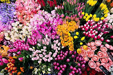 网易《无限大》团队规模达800人 真令人震惊