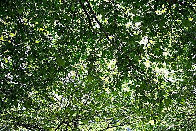 27岁日本男子专偷小学生Switch游戏被捕 已得手60多次